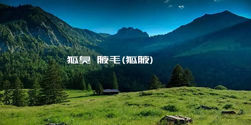 狐臭 腋毛(狐腋)